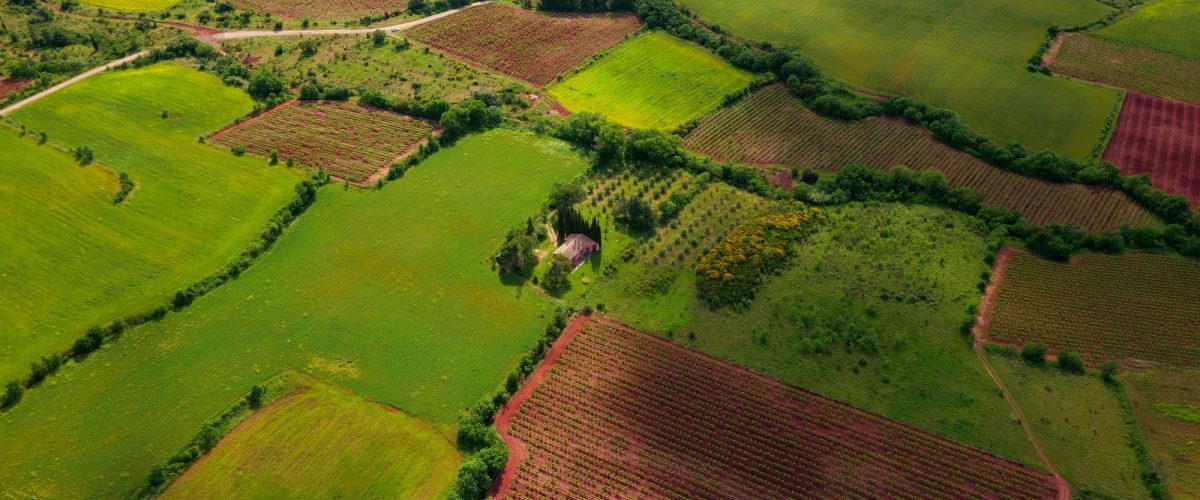 aerial view of green grass field